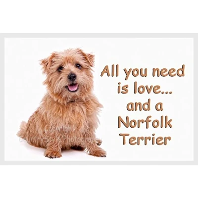 Image of Norfolk / Norwich Terrier Fridge Magnet Gift All you need is love...