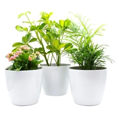 Image of Gardening Naturally Plant Pot Pack Indoor Round White Gloss (Pack of 10, 16 CM Diameter)
