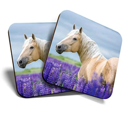 Image of Great Coasters (Set of 2) Square/Glossy Quality Coasters/Tabletop Protection for Any Table Type Pretty Palomino Horse Pony #2552