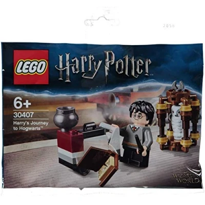 Image of LEGO Harry Potter Journey To Hogwarts Minifigure 30407