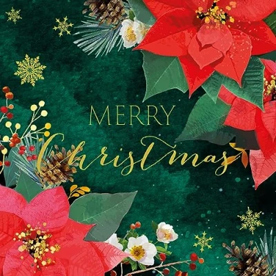 Image of Paper Themes 10 pack of Luxury Christmas Cards with Envelopes (Red Poinsettia)