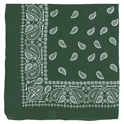 Image of Large Paisley Bandana Bikers Head SCARF Soft Lightweight 24&quot; x