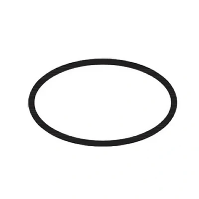 Image of Hansgrohe o&#039;ring 48x3mm (95508000)
