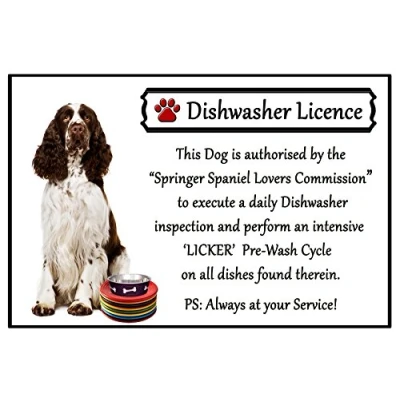 Image of Springer Spaniel Lover Gift Fun Dishwasher Licence Flexible 6&quot; x 4&quot; Magnet