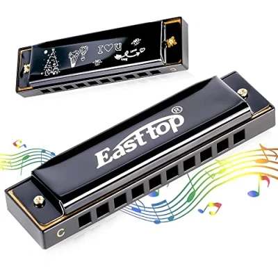 Image of Grehge ica C,10 Hole 20 Tone Diatonic Blues harmonica T002 Key of C with Case mouth organ for adults Professional Player and Students