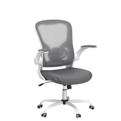 Image of Bonzy Home Bonzyhome Office Chair, Desk Chair with Flip up Armrest, Chairs for Lumbar Support &amp; 360Padded Rotation Seat, Ergonomic Computer (Classic,Grey) (006)