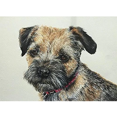 Image of WYWQN 5D Diamond Painting Full Drill Border Terrier Crystal Rhinestone Embroidery Pictures Arts Craft for Home Wall Decor Gift 30x40CM