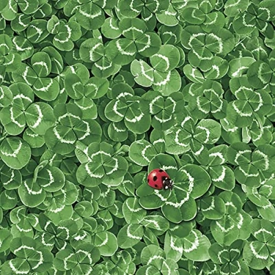 Image of DAISY 3 Ply Spring Flowers Tissue Paper Napkins Serviettes for Decoupage Lunch 33cm x Pack of 20 (Clover Background with Ladybug)