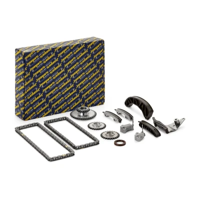 Image of 243222A000, 243352A000, 243352A200, 243512A000, 243512A001 Timing Chain Kit JAPANPARTS KDK H00 Simplex HYUNDAI: i20 I Hatchback, i10