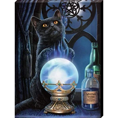 Image of Grindstore Lisa Parker The Witches Apprentice Canvas Print 19 x 25cm