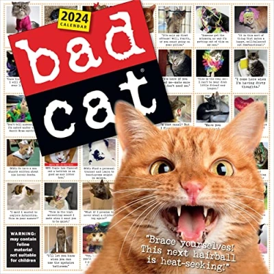 Image of Bad Cat Wall Calendar 2024: Celebrating the Misfits of Feline World