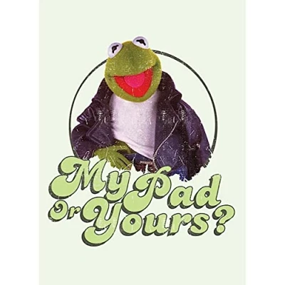 Image of Disney Classic Magnets Muppets Metal Magnet Kermit