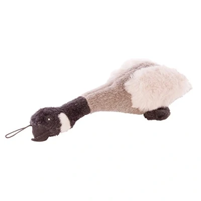 Image of Migrator Canada Goose Med