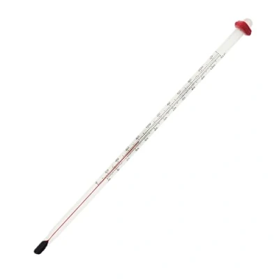 Image of Home Brew Thermometer Equipment Brewing for Wine and Beer Temperature