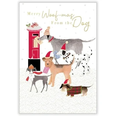 Image of Abacus Cards From The Dog Christmas Card with Festive Dogs and Post Box Design Special Finish Eco Friendly Single Xmas Envelope