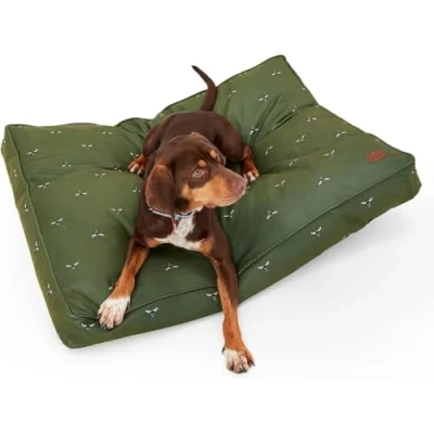 Image of Rosewood Joules Khaki Bee Print Mattress For Dogs, Large