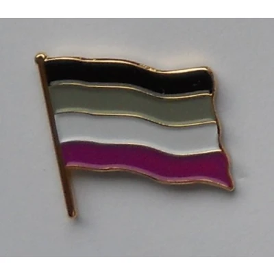 Image of Asexual Pride Flag Enamel Pin Badge