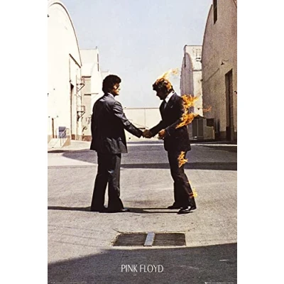 Image of Close Up Pink Floyd Poster LP Cover Wish You Were Here (61cm x 91,5cm)
