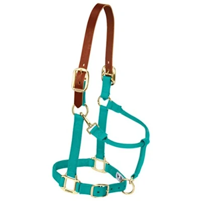 Image of Weaver Leather Nylon Adjustable Breakaway Horse Halter, Yearling, Emerald Green