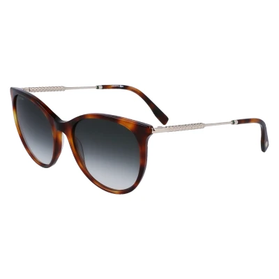 Image of Sunglasses Lacoste L993s col. 214 Woman Round Havana
