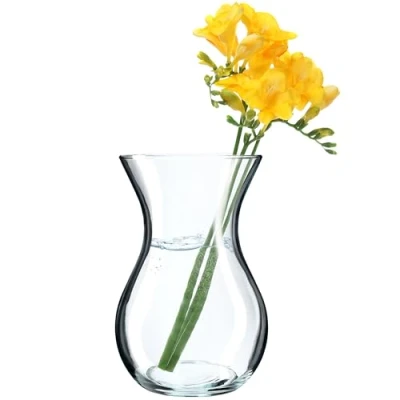 Image of KADAX Glass Vase, 18 cm, Round, Transparent, 8 cm Diameter, 11 Neck, Decorative Vase for Living Room, Clear Flower Flowers, Dishwasher Safe