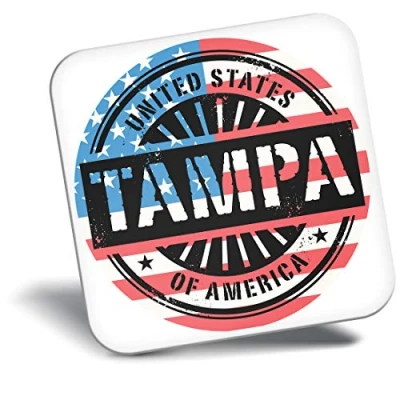 Image of Destination Vinyl ltd Fridge Magnet Tampa Bay Florida USA American Flag 6073