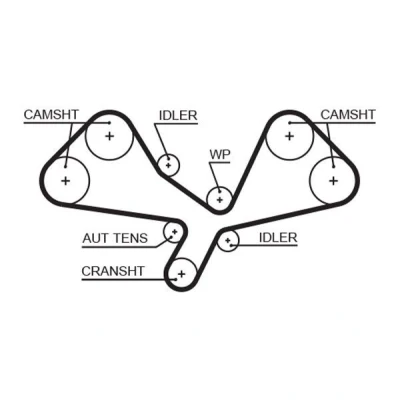 Image of 06C109119C Timing Belt GATES FleetRunner Micro V Stretch Fit 5605XS 281 2248mm 30mm AUDI: A4 B7 Avant, B6/B7 Convertible, Saloon