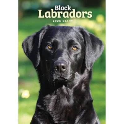 Image of Black Labradors A5 Diary 2026