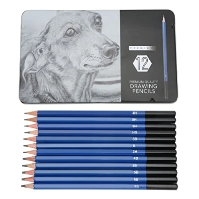 Image of 12Pcs Professional Drawing Sketching Pencil Set, Graphite Pencils with Iron Box (B, 2B, 3B, 4B, 5B, 6B, 8B, HB, 2H, 3H, 4H, 5H) for Drawing, Sketching, Shading