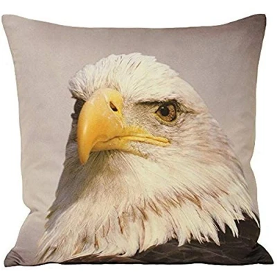 Image of Paoletti Animal Eagle Photographic Printed Feather Filled Cushion Grey One Size