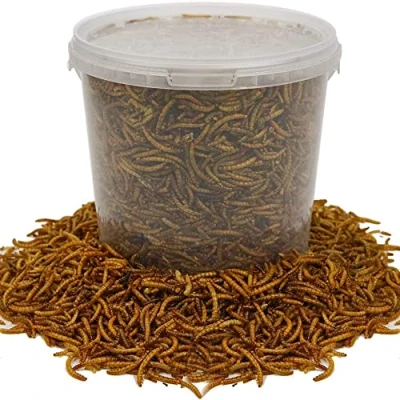 Image of BusyBeaks Dried Mealworms Premium Garden Wild Bird Food Mix Balanced Formula Protein Rich, Great Source of Energy Contains Beneficial Mixed Vitamins Large Variety (2.5KG)