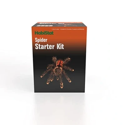 Image of HabiStat Spider Starter Kit Includes Glass Terrarium, Compact Thermometer, Cave, Bedding, Moss, Dish, Tongs &amp; Spray Bottle Easy Set Up Perfect For Beginners
