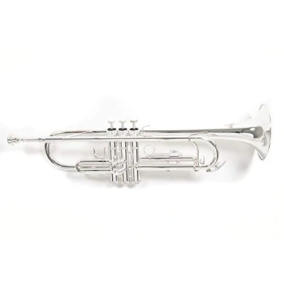 Image of Roy Benson Bb Trompete MOD.TR 202S versilbert, inkl. Etui