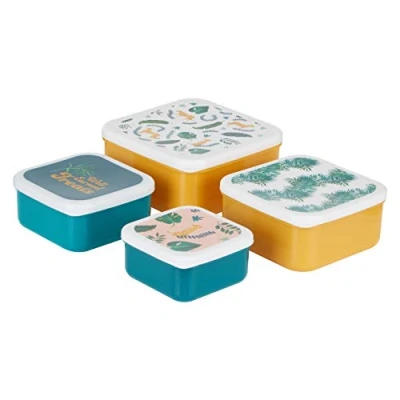 Image of Premier Housewares Lunch Boxes Winter Palm Themed Snack for Kids Multi Colored Small Sandwich Box Set of 4