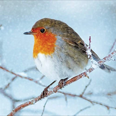 Image of Pack of 5 Christmas Visitor Cards Supporting Multiple Charities 457494