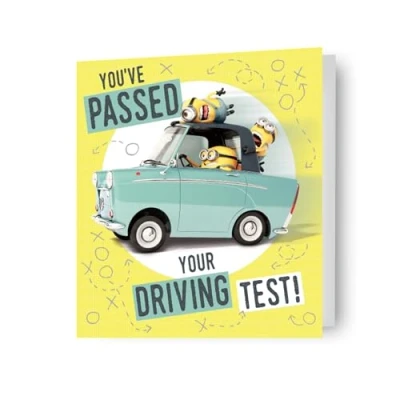 Image of despicable me, driving test, occasion card