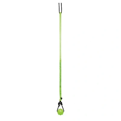 Image of Jolly Pets Tree Tugger,Green