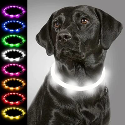 Image of Joytale Light Up Dog Collar,LED Flashing Collar for Night Walking, Rechargeable Glow Collars Puppy Small Medium and Large Dogs,White