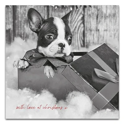 Image of Christmas Card From The Dog, Cute Dog Cards, Card, Generic Cards From,