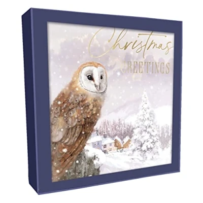 Image of Box of 8 Donkey &amp; Owl Xmas Greetings Christmas Cards In 2 Designs Boxed XCPS019