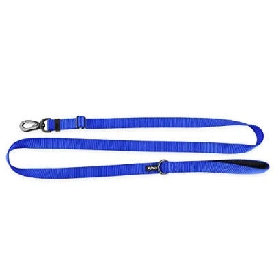 Image of 2019 Adjustable Between 3.7 Feet and 6 Large Medium Dogs Lead with Heavy Duty Nylon for Walking Training Daily Use Necessary Leash. (Large, Bright Blue)