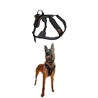 Image of Rock Harness Parent (XS)