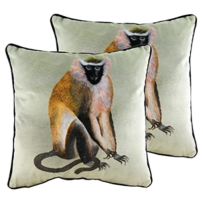 Image of Evans Lichfield Kibale Monkey Cushions (Twin Pack) Multicolour Size 43 cm x