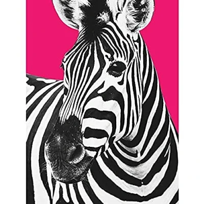 Image of Wee Blue Coo Close up Beasties Zebra Unframed Art Print Poster Wall Decor 12x16 inch