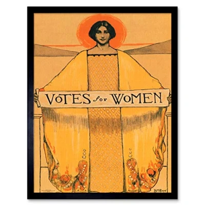 Image of Wee Blue Coo Votes For Women Suffrage Art Print Framed Poster Wall Decor 12x16 inch