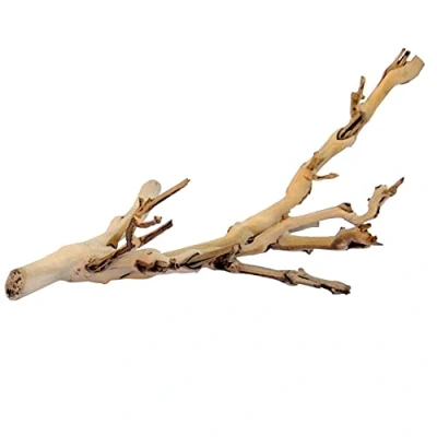 Image of Exo Terra Forest Branch, Small (Exact Size May Vary)