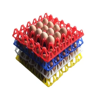 Image of 5 PCS Plastic Egg Trays holds 30 eggs Holder Storage Tray In 4 Colours (5PCS, Red)