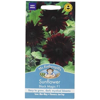 Image of Mr. Fothergill&#039;s Magic F1 Sunflower Seed Black