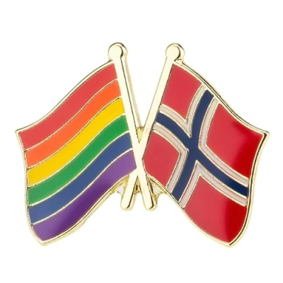 Image of Rainbow Pride LGBT &amp; Norway Friendship National Flag Metal Enamel Pin Badge Lapel