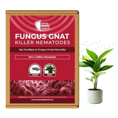 Image of Fungus Gnat Killer Nematodes 10sqm coverage for Indoor Plants Effective Biological Control, Ideal Gnats Plants, Comprehensive Scairid Fly Houseplants